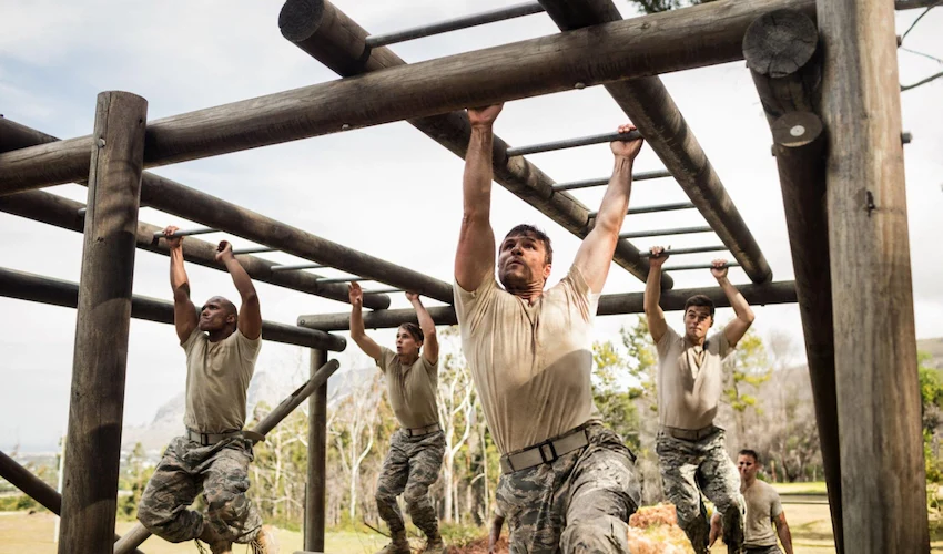 Training & Mentoring